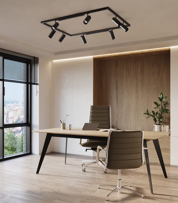 Taklampa, 10 spotlights, 3-ledarsystem, REO/LUCIE svart LED 272W 4000K