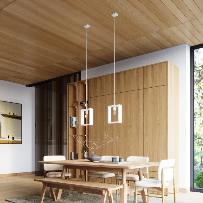 Pendellampa ARIES vit