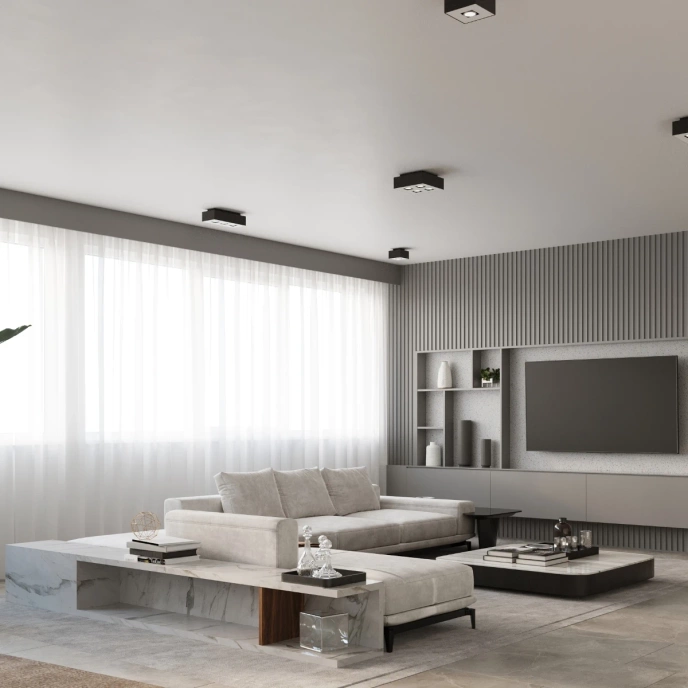 Plafond MONO 2 svart