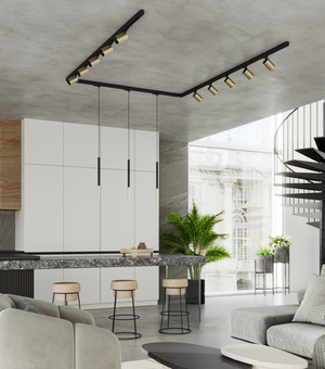 Taklampa/pendel, 13 spotlights, 3-fas strömskenor, TIVA/MOZICA