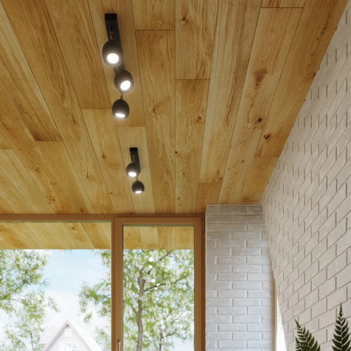 Plafond OCULARE 3 svart