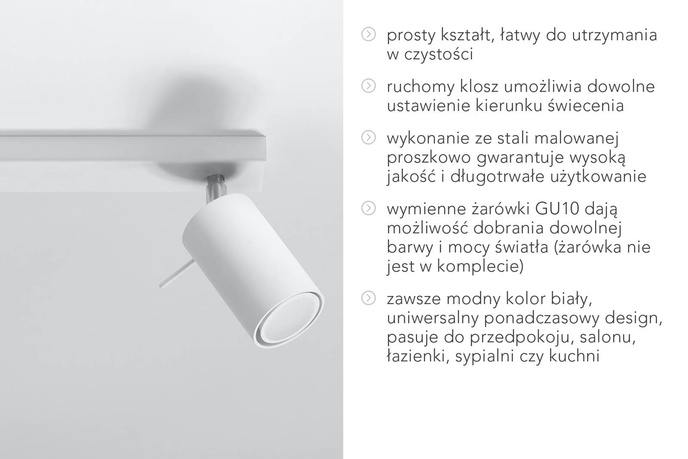 Plafond RING 2 vit + 2x LED-lampa GU-10 3000K varm 7W 620lm