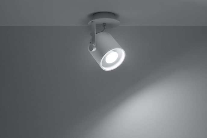 Plafond LAROSA 1 vit