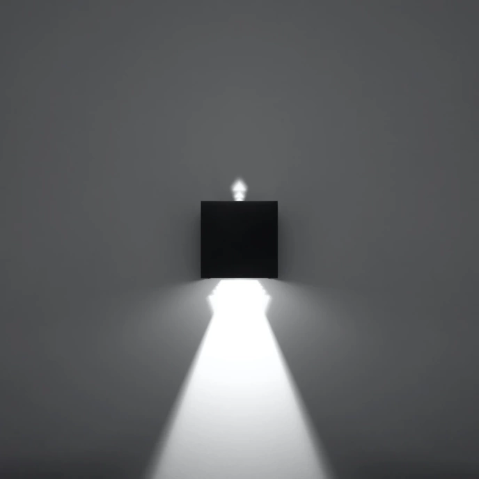 Vägglampa LUCA svart LED IP54