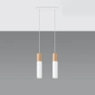 Pendel lampa PABLO 2 vit
