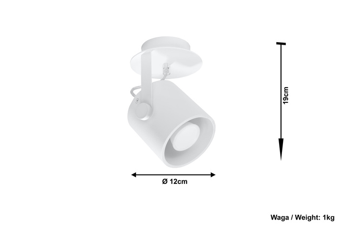 Plafond LAROSA 1 vit