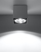 Plafond BLAKE grå + 1x LED-lampa GU10 AR111 4000K COLD 10W 850lm